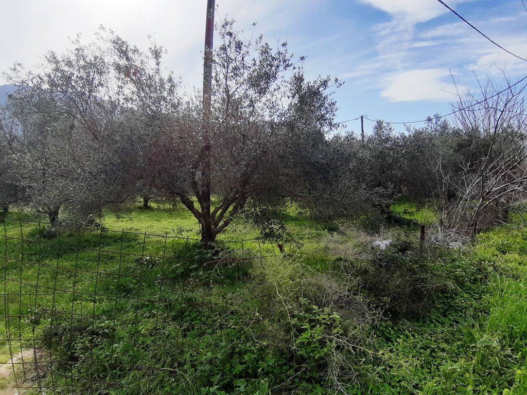 Terreno a Heraklion, Grecia, 19 280 m2 - foto 3