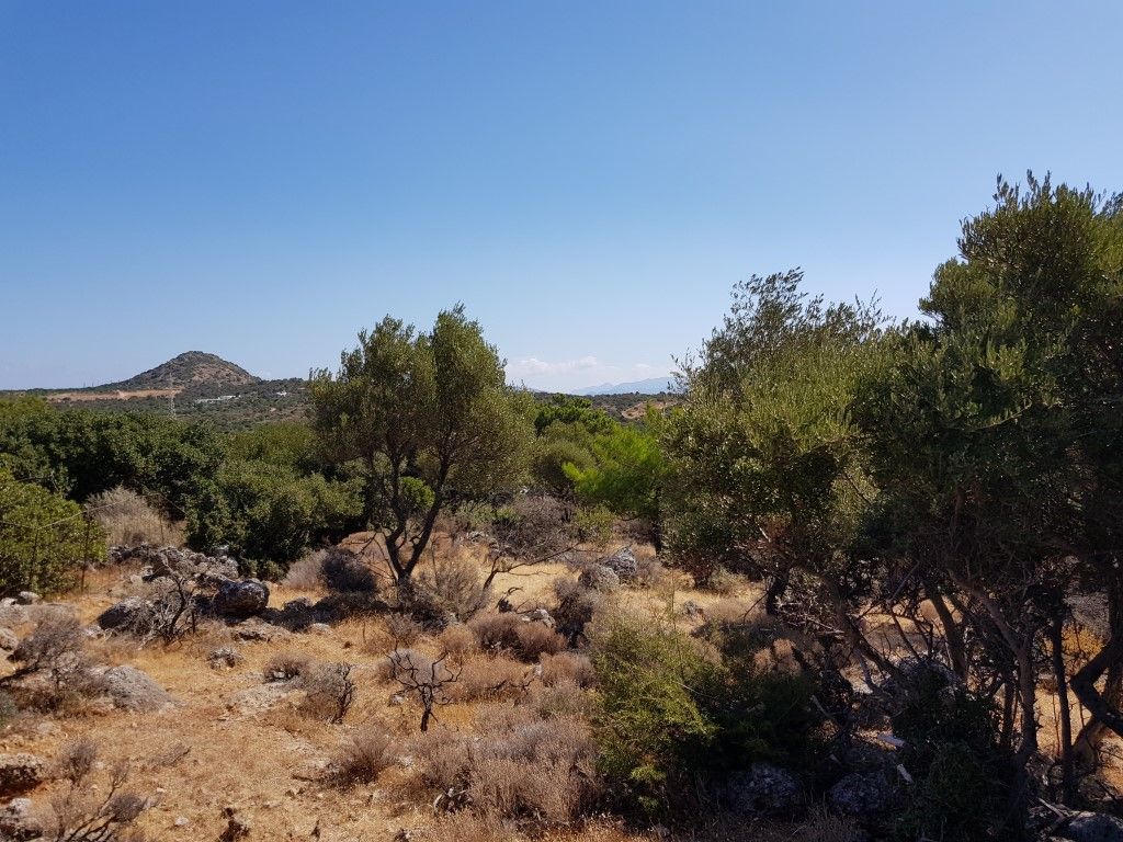 Terrain à Héraklion, Grèce, 14 565 m² - image 3