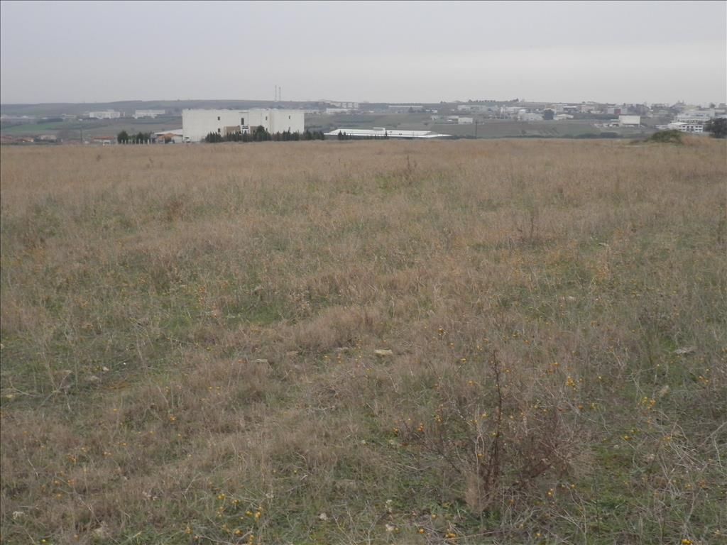 Terrain en Chalcidique, Grèce, 4 037 m² - image 3
