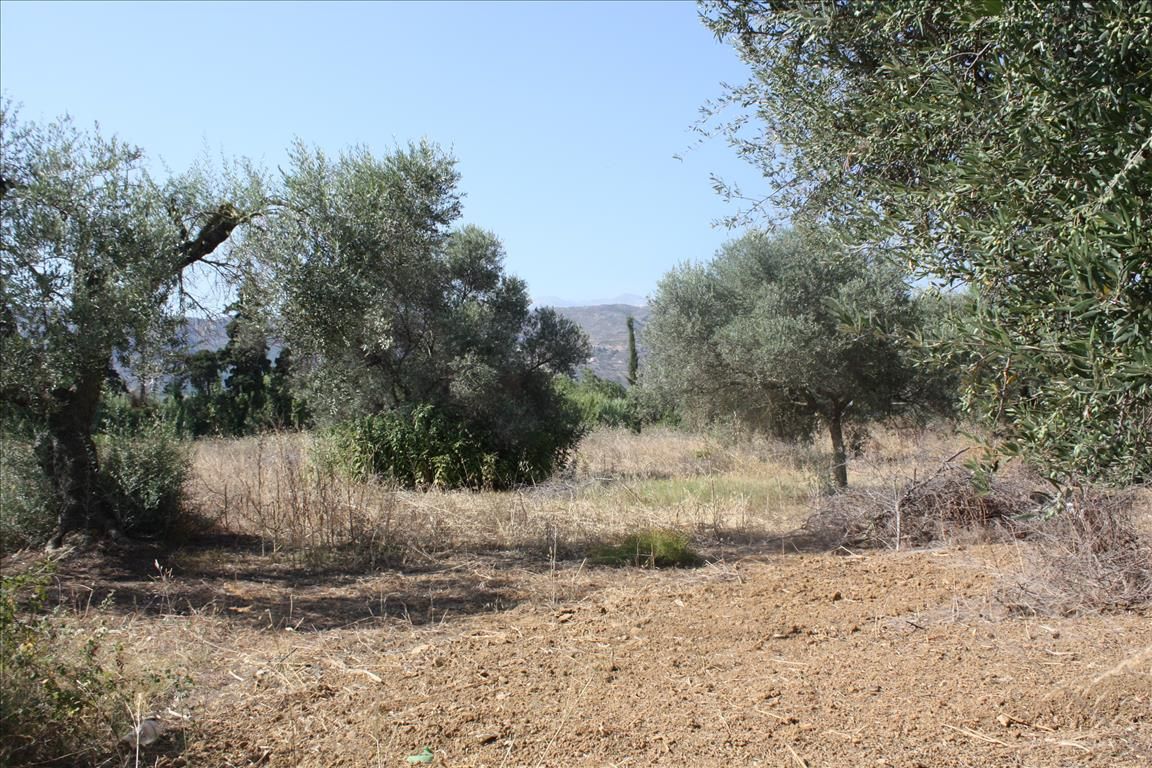 Land in Heraklion, Greece, 10 500 m² - picture 2