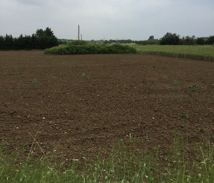 Terrain à Thessalonique, Grèce, 11 000 m² - image 2