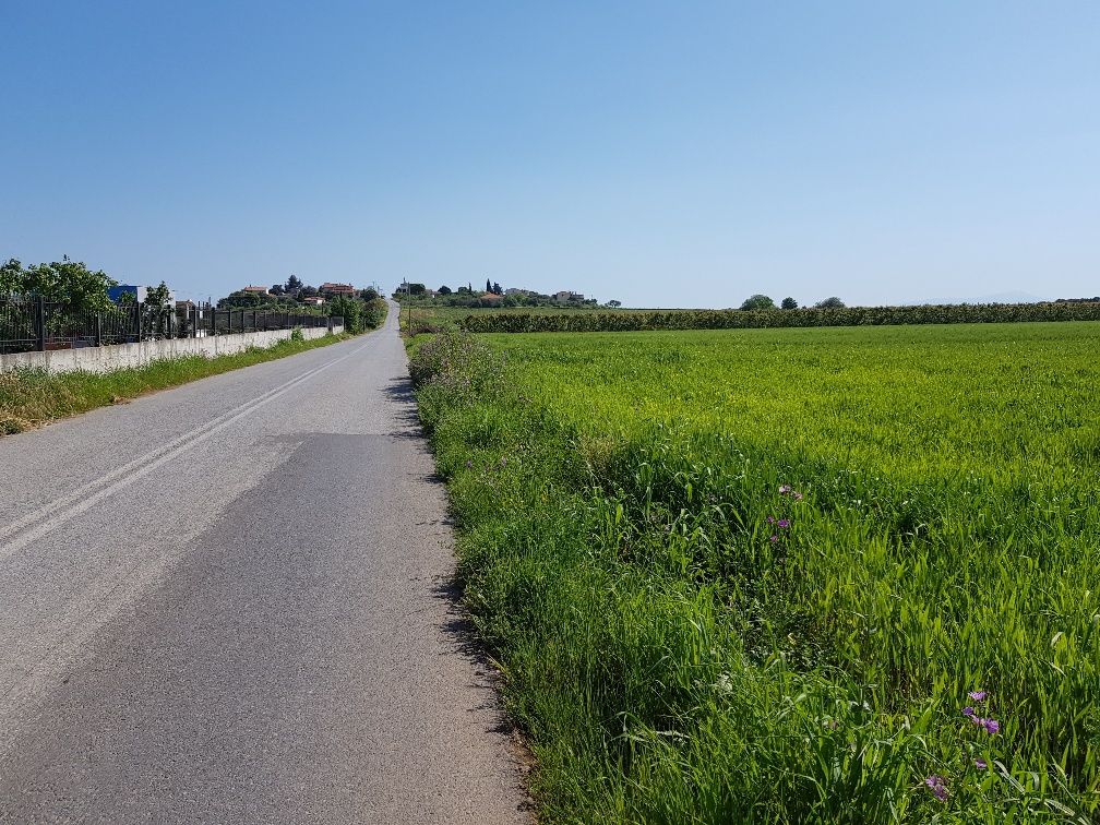 Terreno a Calcidica, Grecia, 16 856 m2 - foto 2