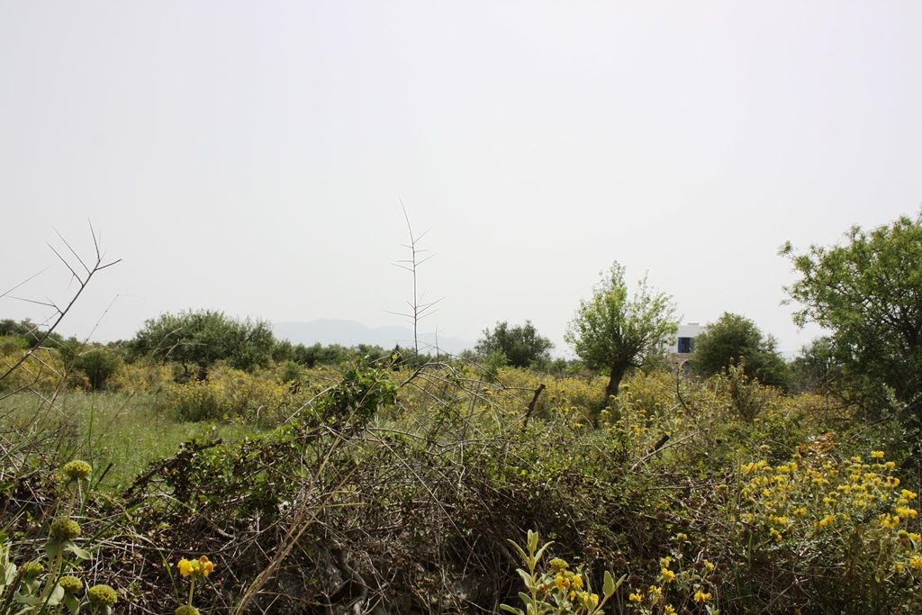 Terreno a Heraklion, Grecia, 4 200 m2 - foto 2