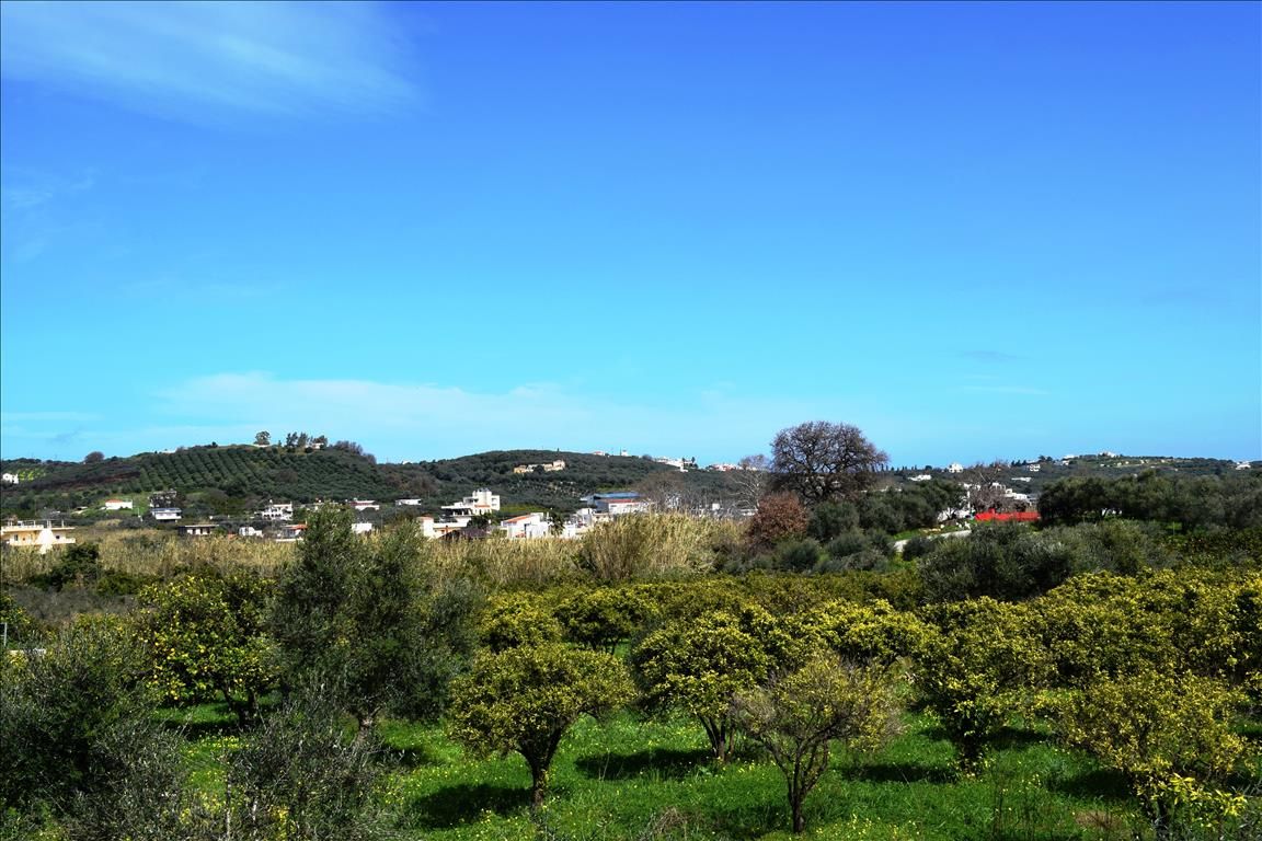Land in Heraklion, Greece, 11 000 m² - picture 2