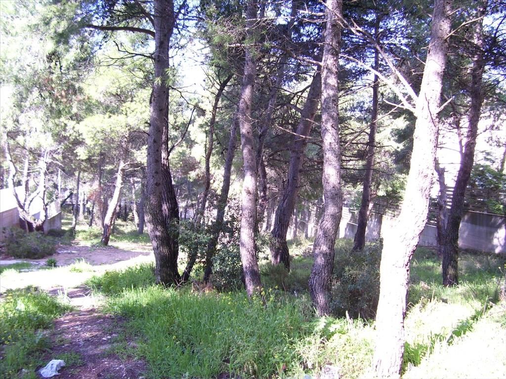 Grundstück in Attika, Griechenland, 815 m² - Foto 2