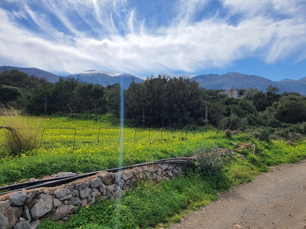 Terrain à Héraklion, Grèce, 10 000 m² - image 4