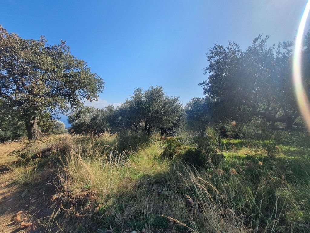 Land in Heraklion, Greece, 1 500 m² - picture 4