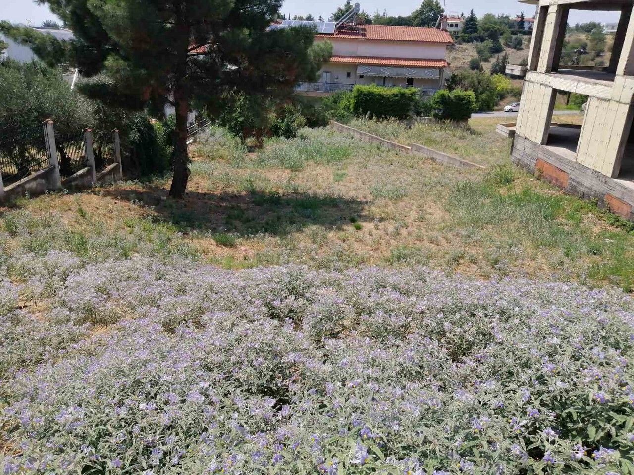 Land in Thessaloniki, Greece, 750 m² - picture 4