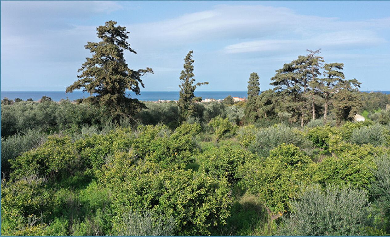 Land in Heraklion, Greece, 5 700 m² - picture 4