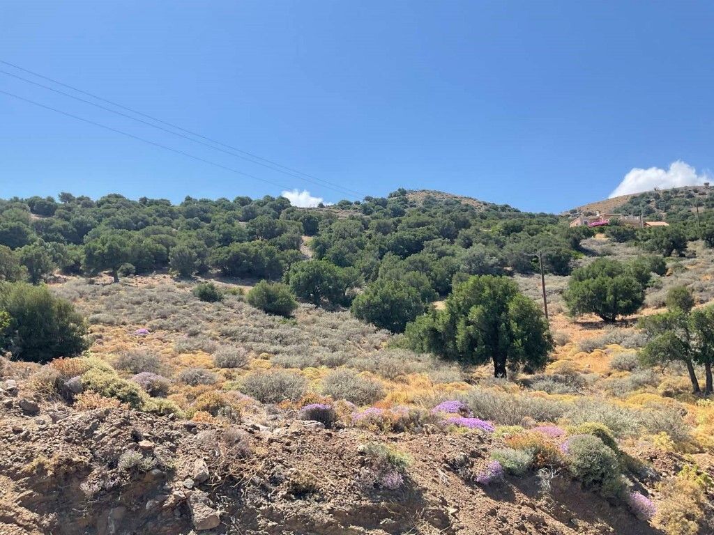 Grundstück in Heraklion, Griechenland, 32 687 m² - Foto 4