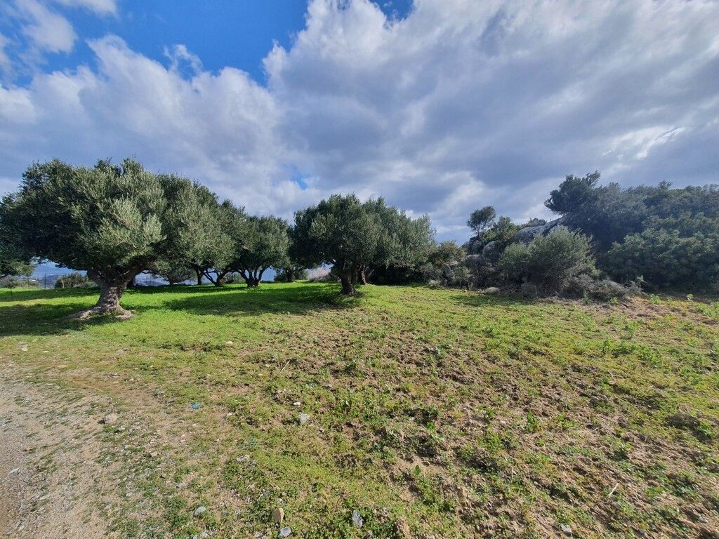 Land in Heraklion, Greece, 4 790 m² - picture 4