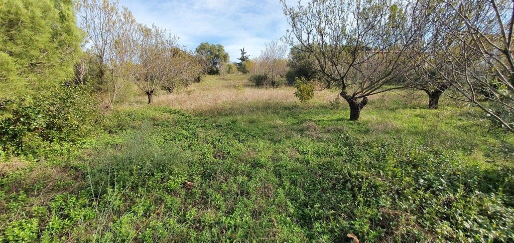 Land in Chalkidiki, Greece, 2 000 m² - picture 4