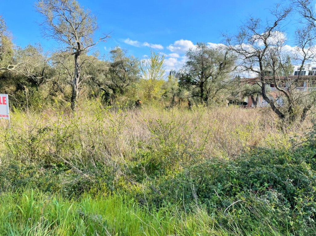 Land in Corfu, Greece, 4 100 m² - picture 4