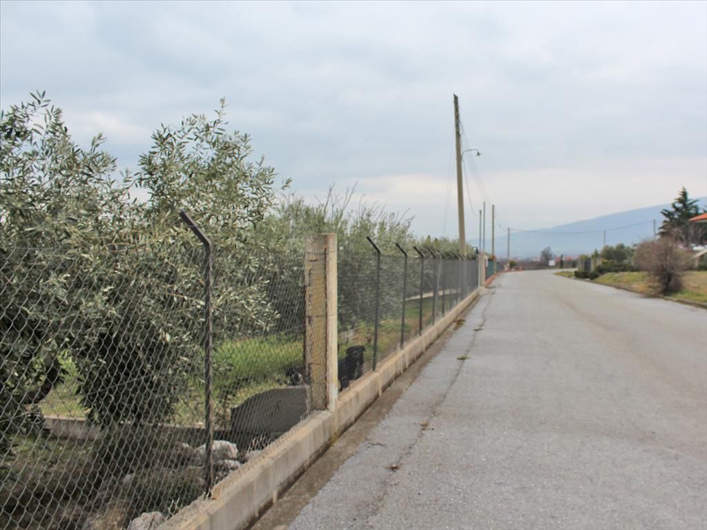 Terreno a Olympiaki Akti, Grecia, 9 062 m2 - foto 4