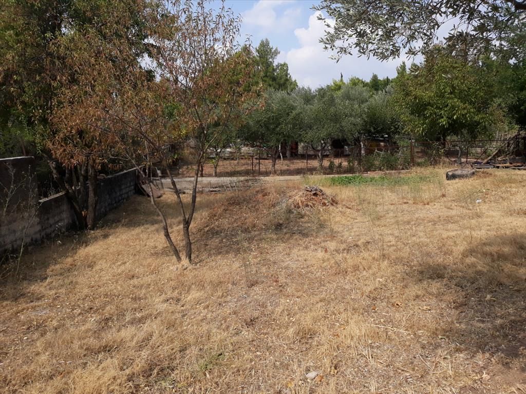 Grundstück in Athen, Griechenland, 374 m² - Foto 4