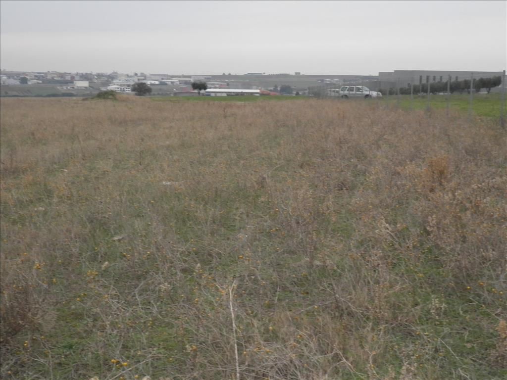 Terrain en Chalcidique, Grèce, 4 037 m² - image 4