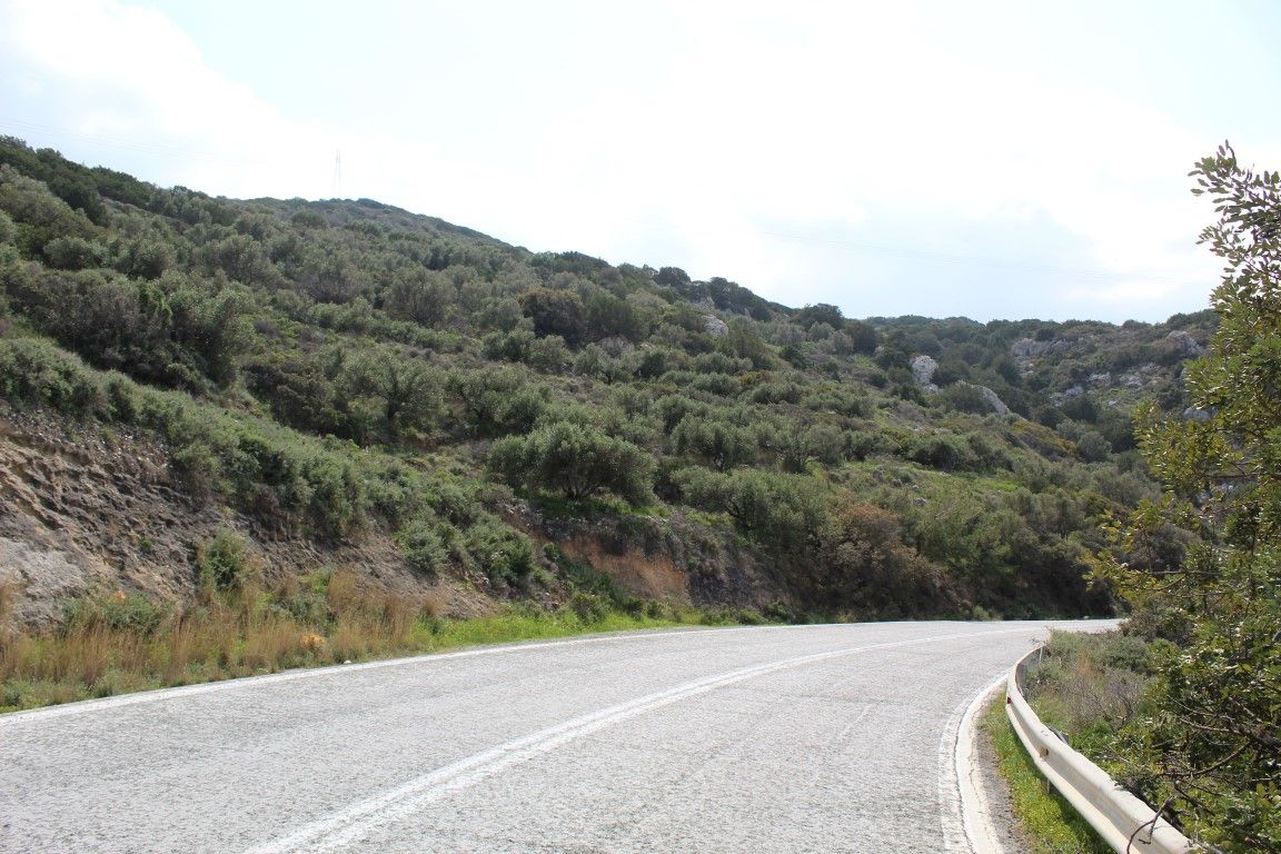 Land in Heraklion, Greece, 12 588 m² - picture 4