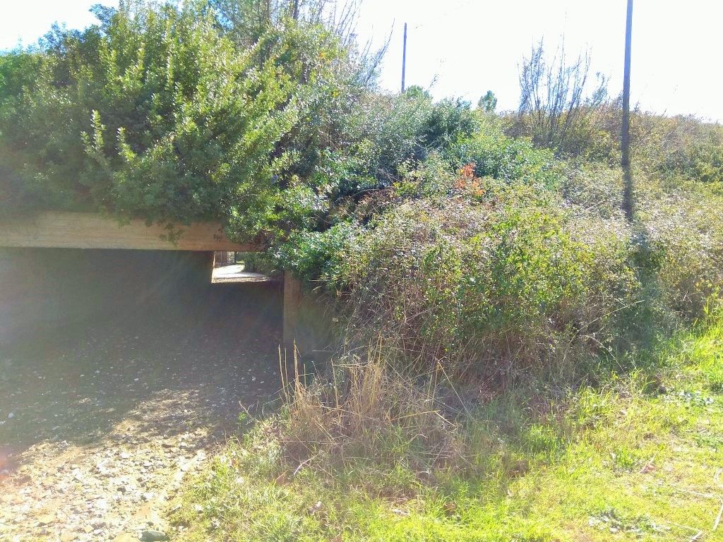 Grundstück in Sithonia, Griechenland, 5 200 m² - Foto 3