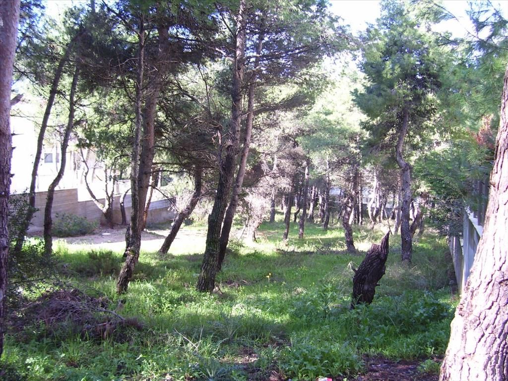 Grundstück in Attika, Griechenland, 815 m² - Foto 3