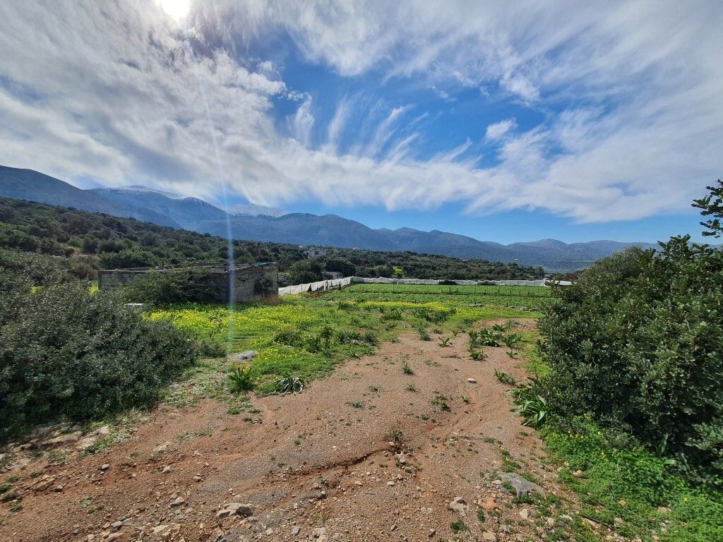 Terrain à Héraklion, Grèce, 10 000 m² - image 5