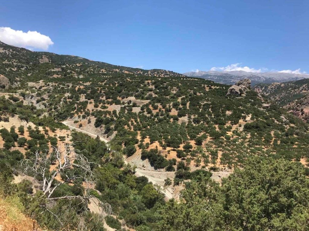 Land in Heraklion, Greece, 30 000 m² - picture 5