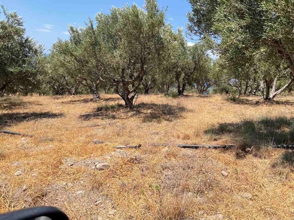Terrain à Héraklion, Grèce, 5 600 m² - image 5