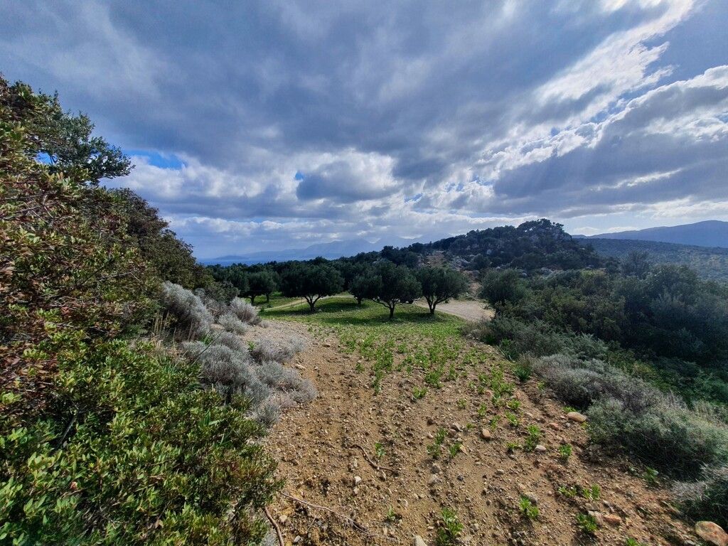 Land in Heraklion, Greece, 4 790 m² - picture 5