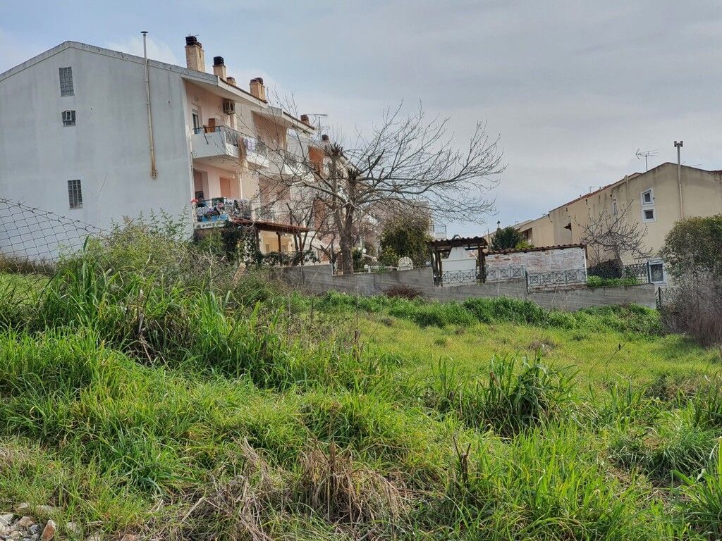 Terrain en Sithonie, Grèce, 1 280 m² - image 5