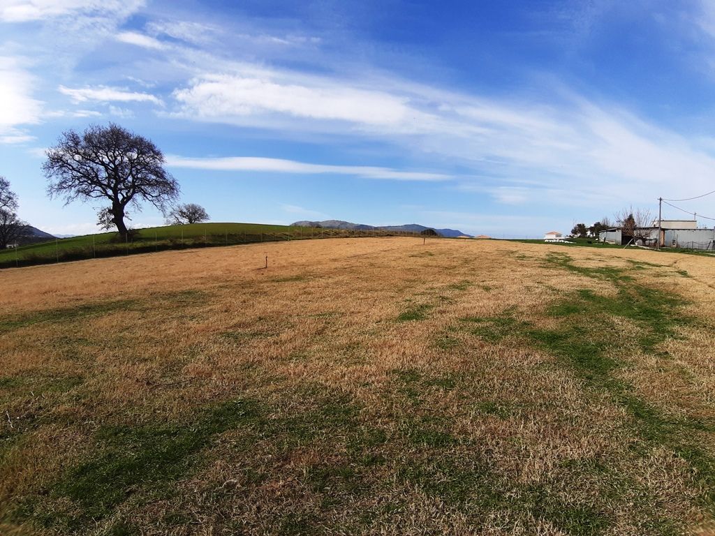 Land in Heraklion, Greece, 8 923 m² - picture 5