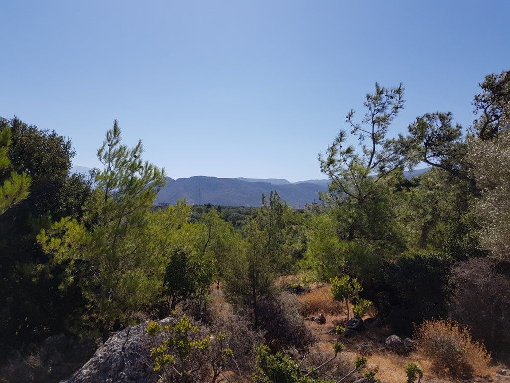 Terrain à Héraklion, Grèce, 14 565 m² - image 5