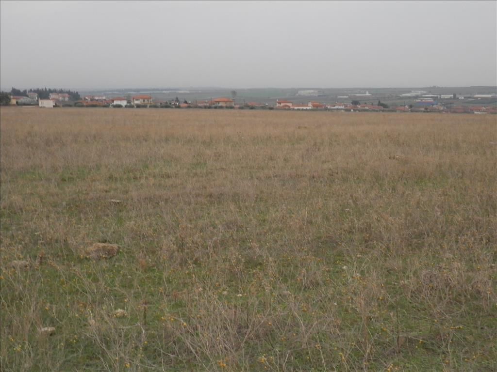 Terrain en Chalcidique, Grèce, 4 037 m² - image 5