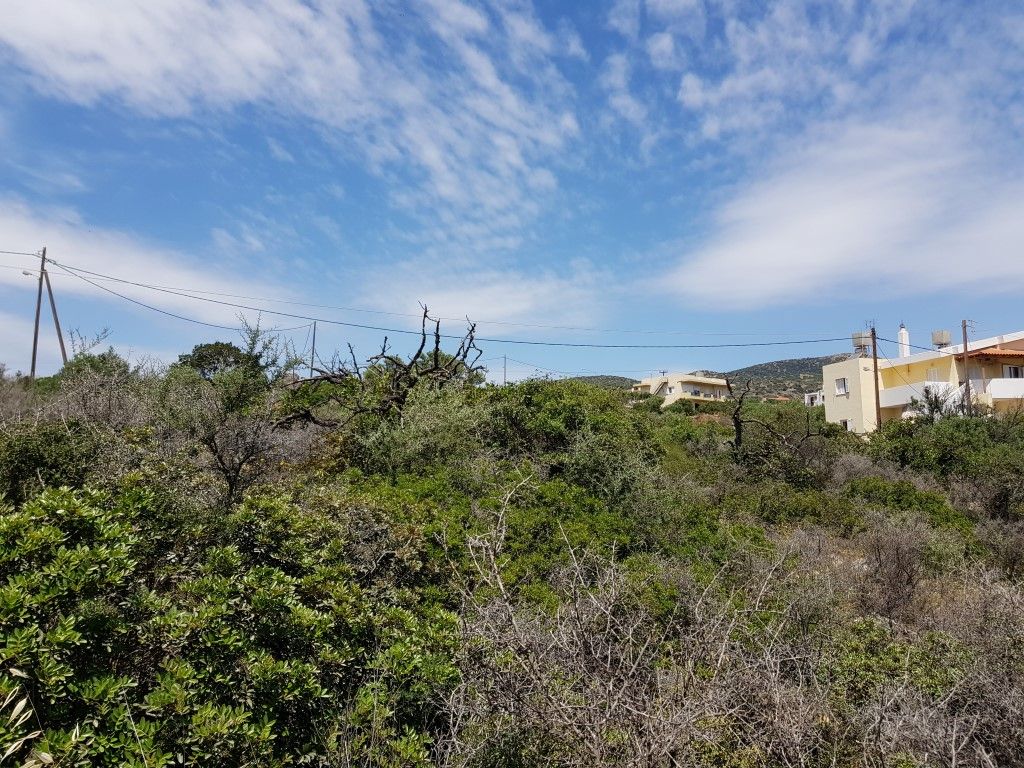 Land in Heraklion, Greece, 6 000 m² - picture 5