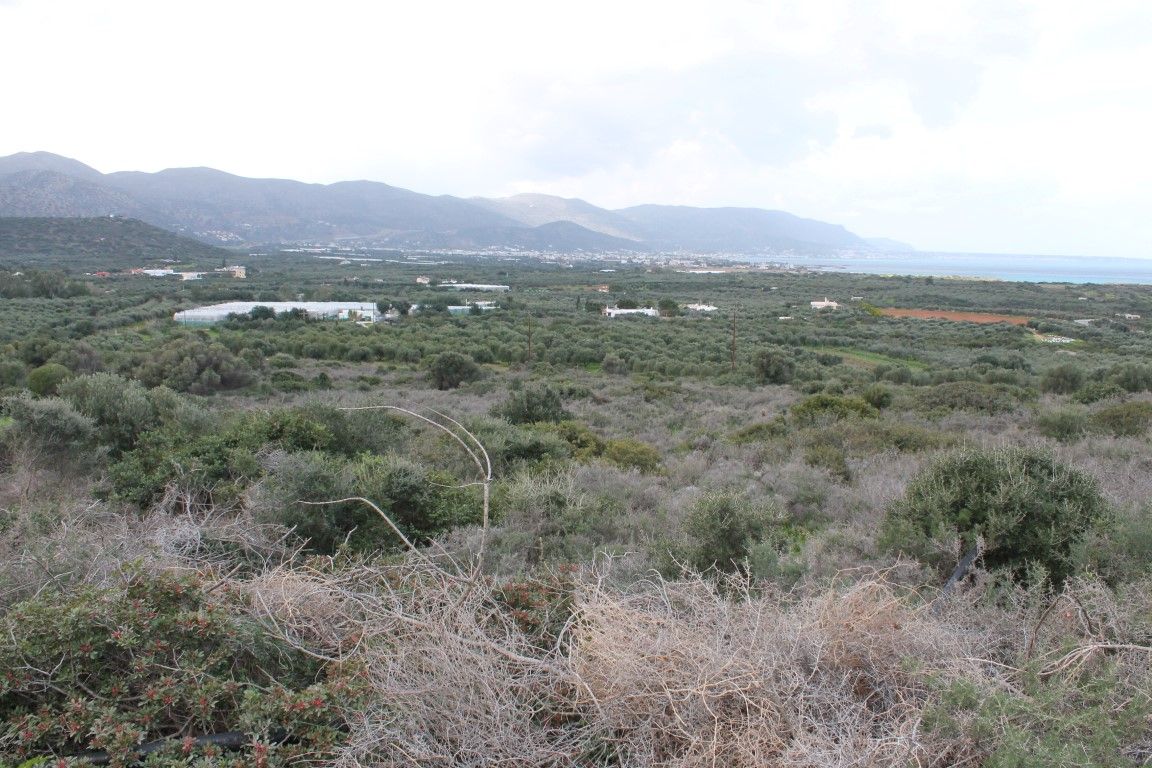 Land in Heraklion, Greece, 153 m² - picture 4