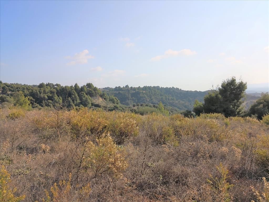 Terrain en Sithonie, Grèce, 5 000 m² - image 4