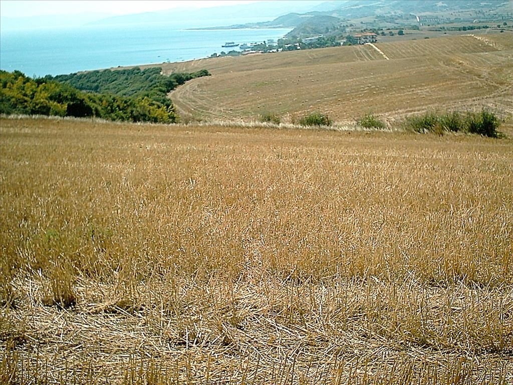 Grundstück in Chalkidiki, Griechenland, 11 200 m² - Foto 4