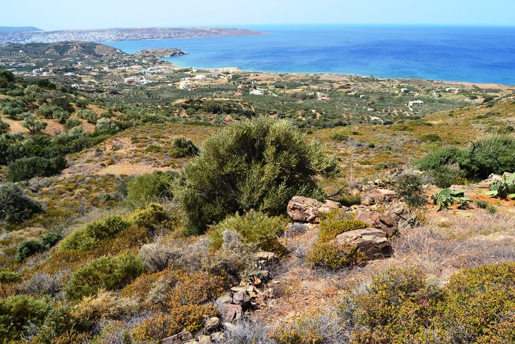 Terreno a Heraklion, Grecia, 9 000 m2 - foto 4