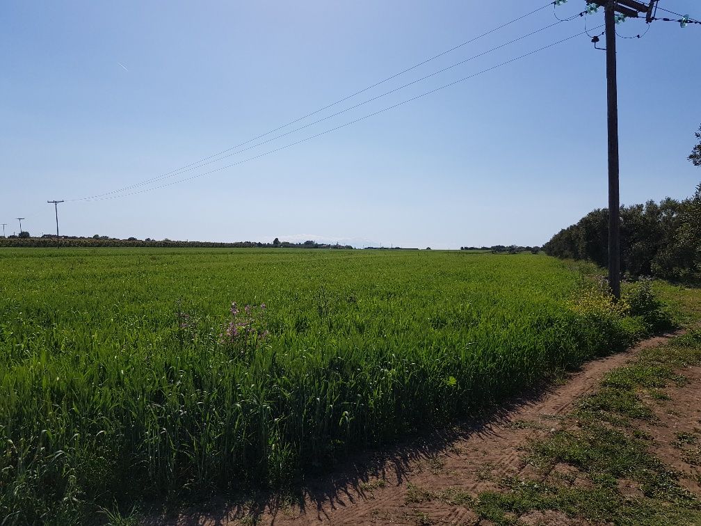 Terreno a Calcidica, Grecia, 16 856 m2 - foto 4