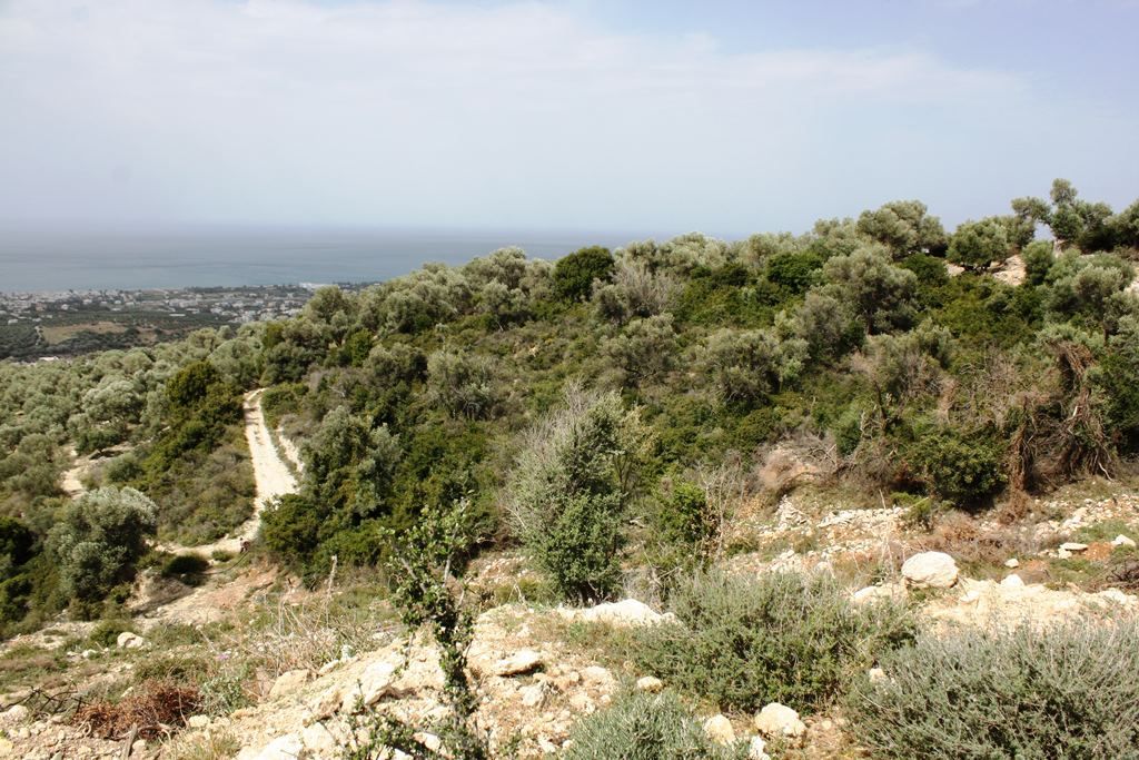 Land in Heraklion, Greece, 27 000 m² - picture 4