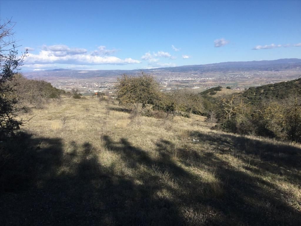 Terrain à Thessalonique, Grèce, 6 500 m² - image 4