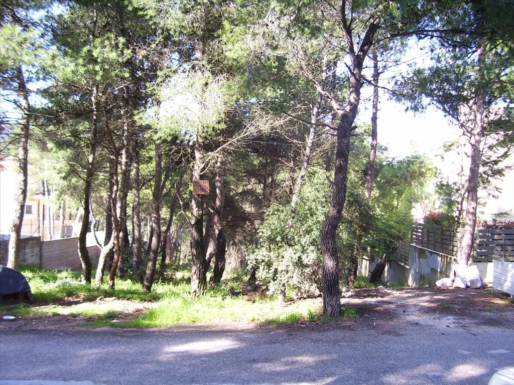 Grundstück in Attika, Griechenland, 815 m² - Foto 4