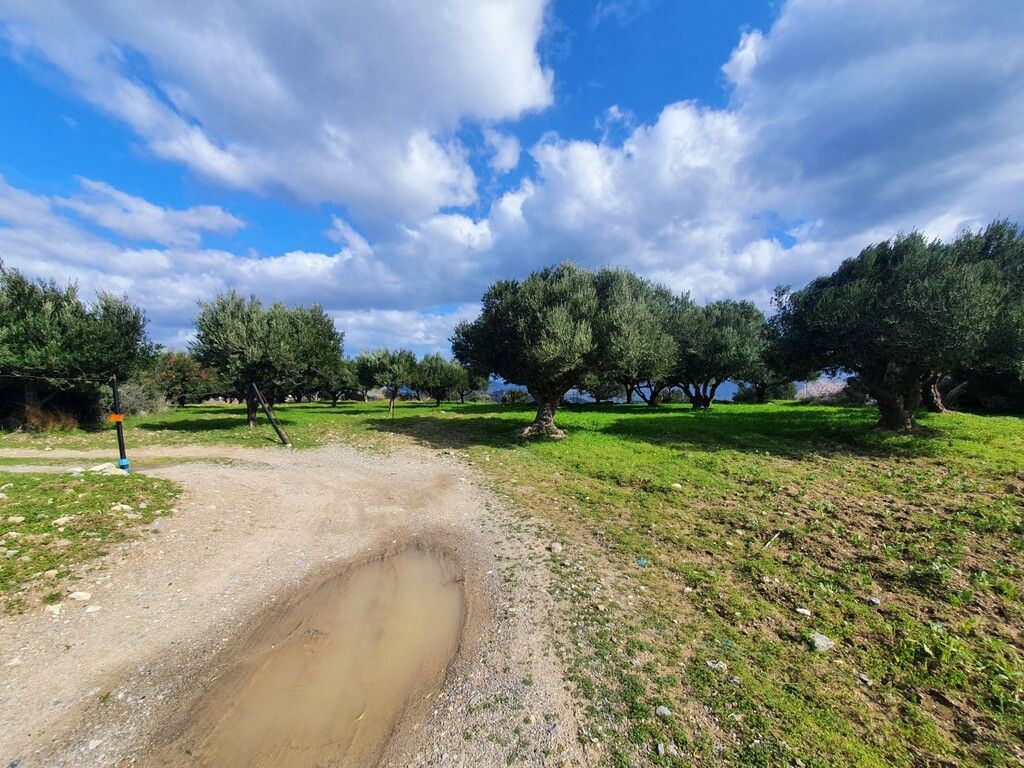 Land in Heraklion, Greece, 4 790 m² - picture 6