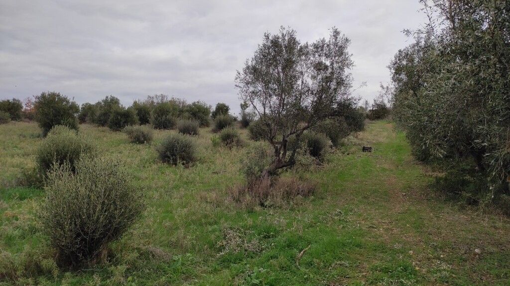 Terreno en Calcídica, Grecia, 1 625 m² - imagen 6