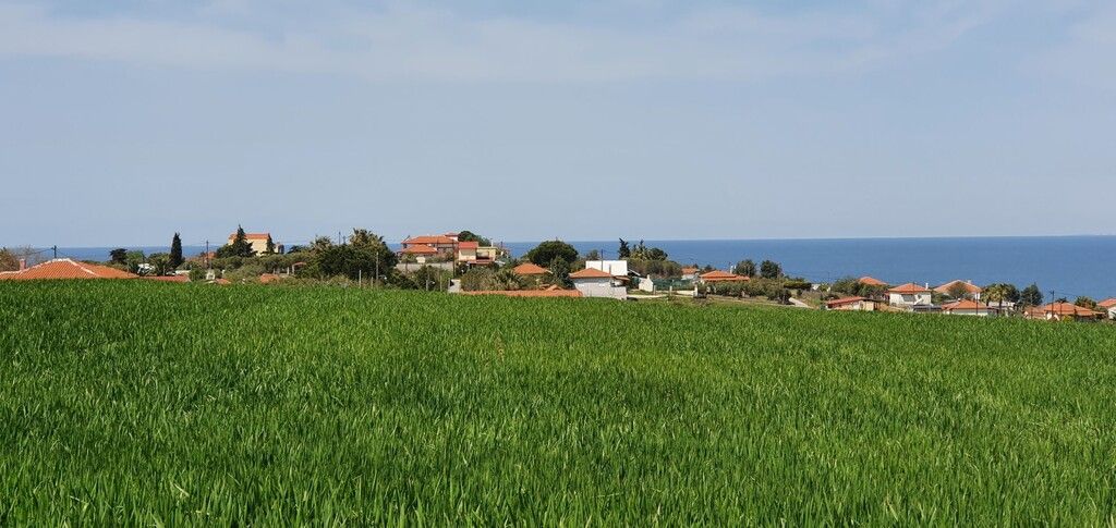 Terrain à Kassandra, Grèce, 5 250 m² - image 6