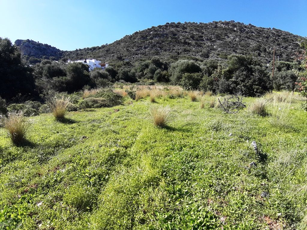 Terreno a Heraklion, Grecia, 14 000 m2 - foto 6