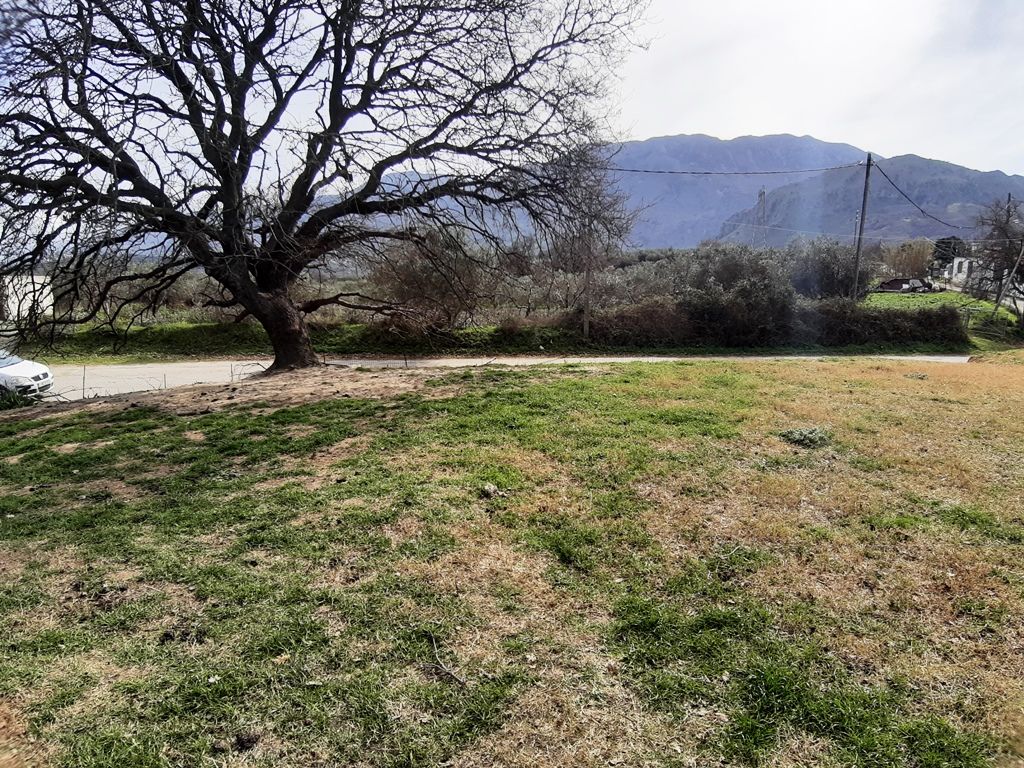 Land in Heraklion, Greece, 8 923 m² - picture 6