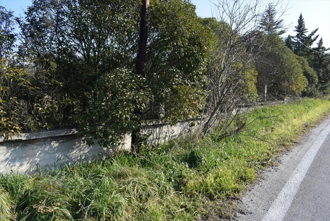 Terreno en Salónica, Grecia, 3 000 m² - imagen 6