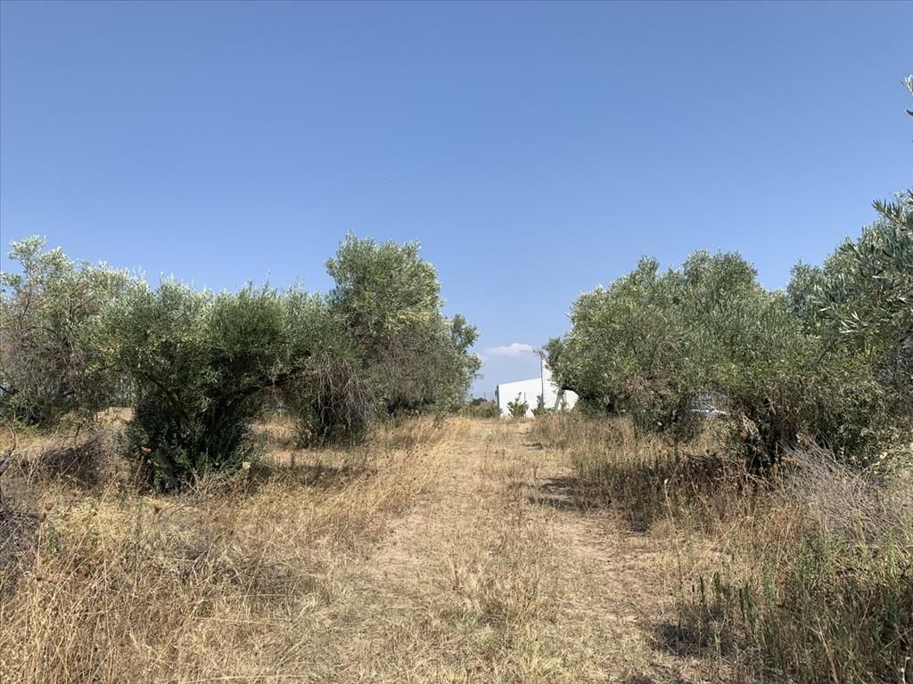 Terrain à Thessalonique, Grèce, 7 000 m² - image 6