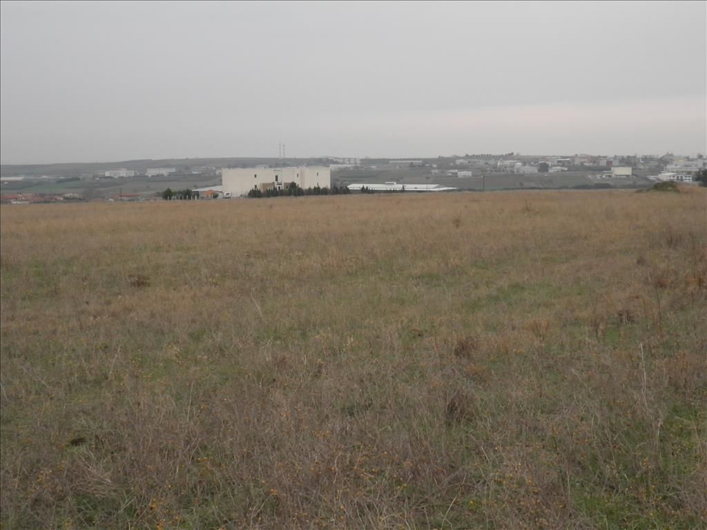 Terrain en Chalcidique, Grèce, 4 037 m² - image 6