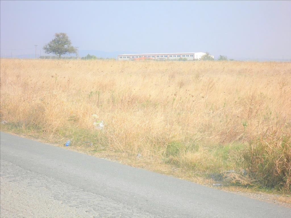 Terreno a Calcidica, Grecia, 5 512 m2 - foto 6