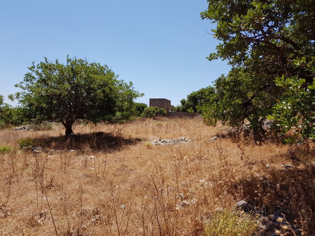 Terreno en Heraclión, Grecia, 8 000 m² - imagen 6